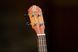 Укулеле Ortega Earth RUDAWN Concert Ukulele Okoume Dawn Sunburst 125707 фото 9