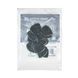 Медіатор Dunlop 547R2.0 Ultex Flow Jumbo Grip 2.0 mm (12 шт.) 125856 фото 3