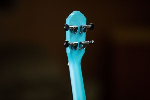 Укулеле Ortega Earth RULAGOON Concert Ukulele Okoume Lagoon Turquoise 126671 фото