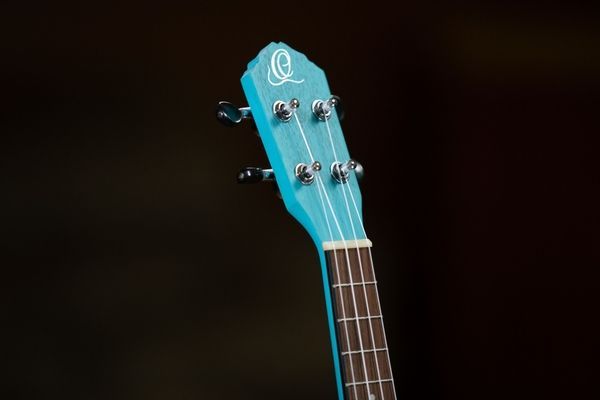Укулеле Ortega Earth RULAGOON Concert Ukulele Okoume Lagoon Turquoise 126671 фото