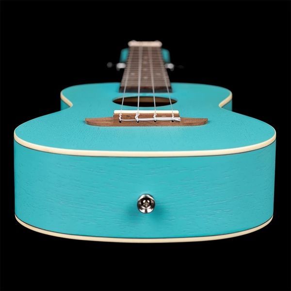Укулеле Ortega Earth RULAGOON Concert Ukulele Okoume Lagoon Turquoise 126671 фото