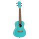 Укулеле Ortega Earth RULAGOON Concert Ukulele Okoume Lagoon Turquoise 126671 фото 1