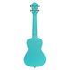 Укулеле Ortega Earth RULAGOON Concert Ukulele Okoume Lagoon Turquoise 126671 фото 4