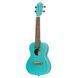 Укулеле Ortega Earth RULAGOON Concert Ukulele Okoume Lagoon Turquoise 126671 фото 3