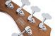 CORT GB-Modern 5 (Open Pore Vintage Natural) &mdash; Bass guitar 40104 photo 4