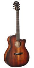 Електрогітара CORT Core-GA Blackwood (Open Pore Light Burst) 39770 фото