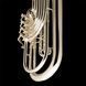 Eb Saxhorn Wessex OTS, lacquer