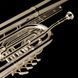 Eb Saxhorn Wessex OTS, lacquer