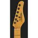 Электрогитара SCHECTER PT BK 246014 фото 6