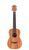 Guitars Travel Guitars photo