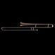 Tenor Sackbut Wessex S2P, lacquer