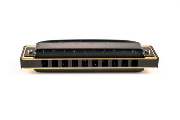 Губная гармошка Hohner MS Pro Harp M564116P Bb-major 128899 фото