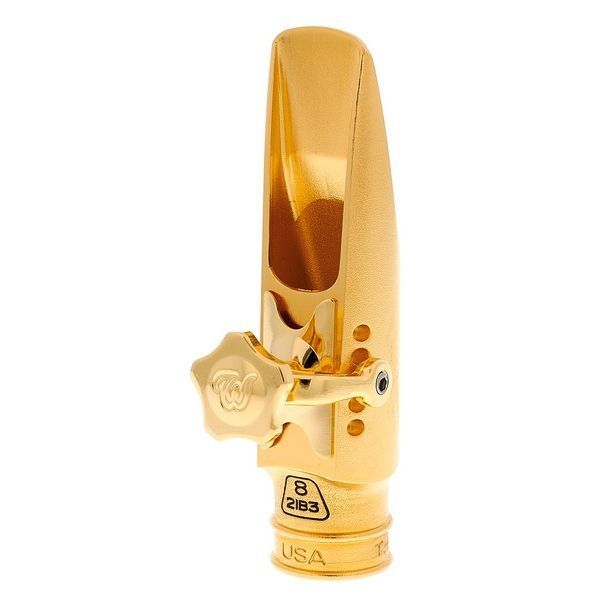 Мундштук для альт-саксофона Theo Wanne Durga V Alto 8 Gold 526191 фото