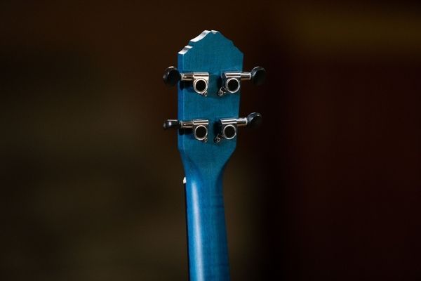 Укулеле Ortega Earth RUOCEAN Concert Ukulele Okoume Ocean Blue 125107 фото