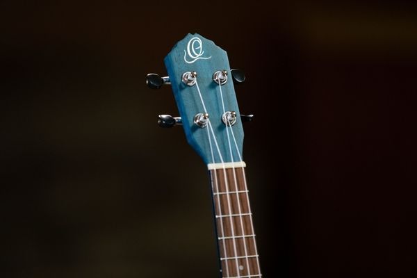 Укулеле Ortega Earth RUOCEAN Concert Ukulele Okoume Ocean Blue 125107 фото