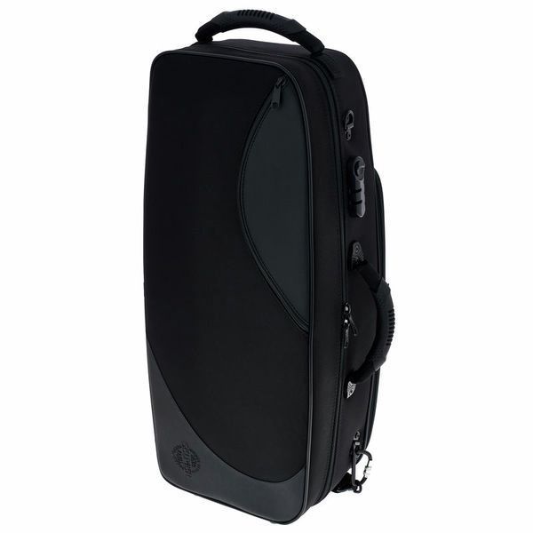 Альт-саксофон Selmer SE-A2B Black 146738 фото