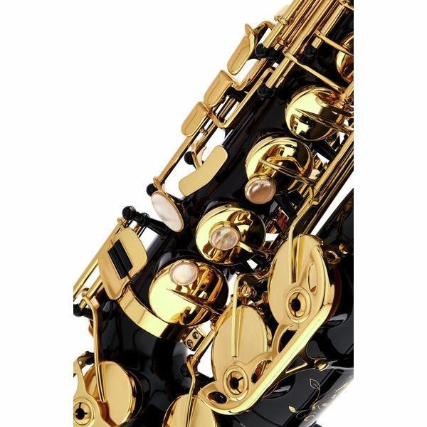 Альт-саксофон Selmer SE-A2B Black 146738 фото