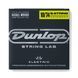 DUNLOP DEN1074 NICKEL WOUND 10-74 | 8-STRING &mdash; Electric Guitar Strings 32125 photo 3