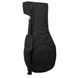 Лютня Thomann Renaissance Lute 6/11