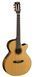 Cort CEC7 Natural Nylon-string acoustic-electric guitar 19377 photo 1