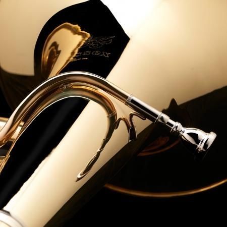 Компенсована туба Eb &laquo;Champion&raquo; Wessex TE560P, срібло