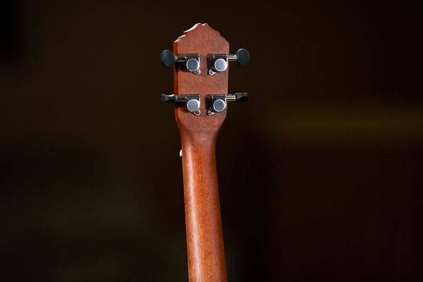 Укулеле зі звукознімачем Ortega Bonfire RU5CE Concert Ukulele Spruce/Sapele Natural 126666 фото