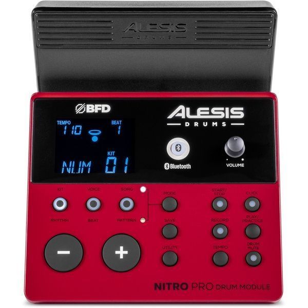 Электронная ударная установка Alesis Nitro Pro XL Drum Kit 602644 фото