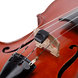 Сурдина для скрипки D'Addario Spector Violin Mute 40153 фото 2