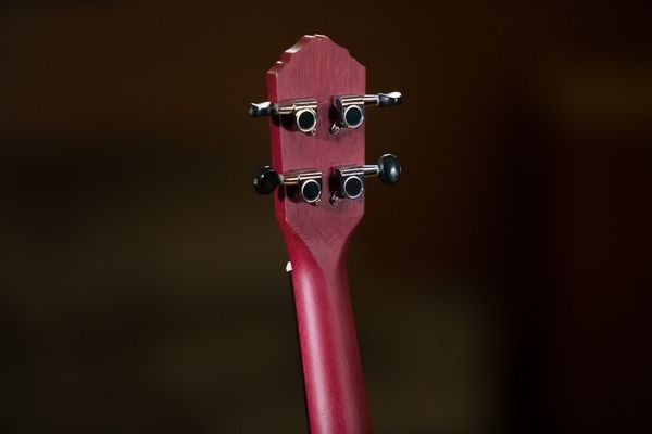 Укулеле Ortega Earth RURUBY Concert Ukulele Okoume Ruby Raspberry 125709 фото