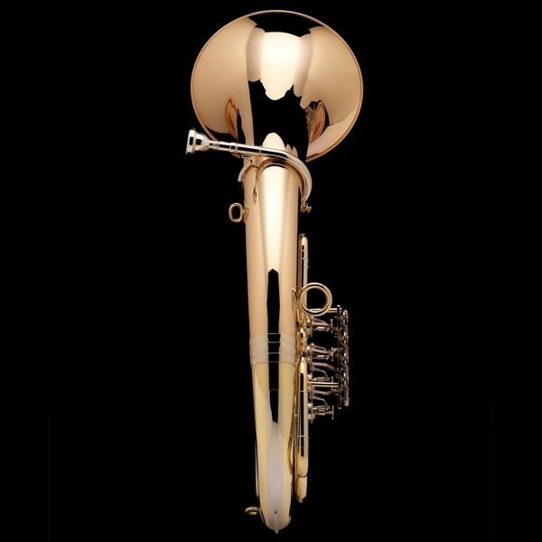 Kaiser Baritone Wessex ER120, lacquer ER120-L photo