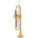 Trumpet Bb Schagerl TR-620L 480672 photo 2